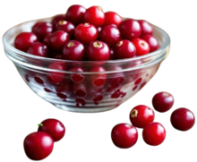 Cranberry